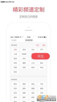 头条客服端在哪里显示,查看生成位置详解