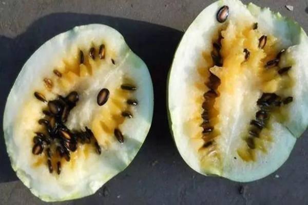 产妇多久可以吃籽瓜,产妇多久可享美味籽瓜？