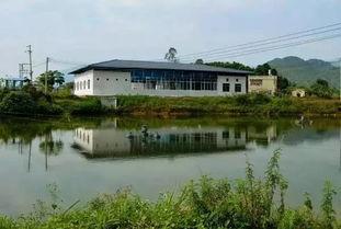 惠州泉塘繁育村新闻头条,探索乡村振兴新路径，打造美丽乡村新典范