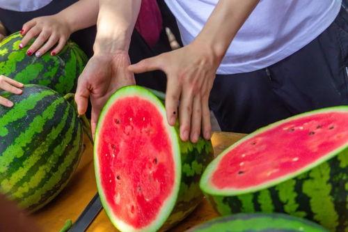 大学操场吃瓜图片,校园生活趣味盎然