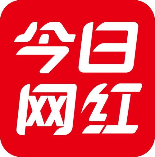 今日头条义乌网红村长,揭秘网红村背后的电商奇迹
