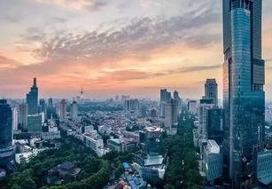 河南网红在上海发展,河南网红在上海绽放光彩