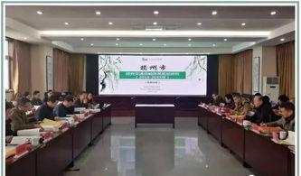 头条宁扬,揭秘我国新能源产业的崛起之路