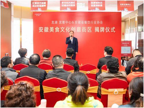 合肥 明星企业,引领产业发展的璀璨明珠