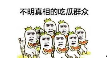 网络语吃瓜群众,网络时代的围观力量