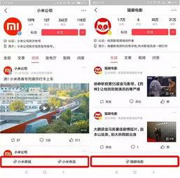 头条怎么过滤小程序内容,如何精准过滤小程序内容，打造优质阅读体验