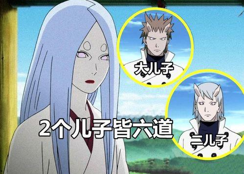 鹿丸小豪爆料视频,揭秘视频背后的精彩故事